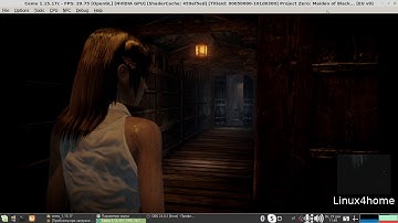 Project Zero Maiden of Black Water On Linux Wine , CEMU 1 15 17