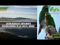 Sierra Nevada de Santa Marta: Reserva Natural de las Aves El Dorado - TvAgro por Juan Gonzalo Angel