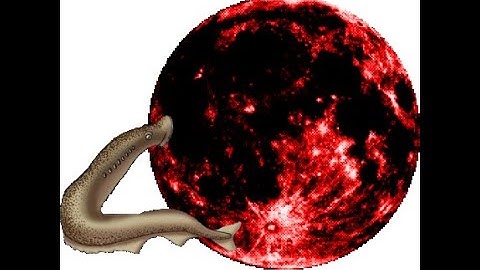 Hideous Destructor Abscission map03 attempts