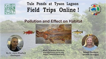 Pollution and Effect on Habitat