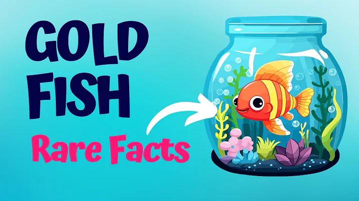 Goldfish Recognize Your Face and Navigate Mazes | Animal Fun Facts Ocean World HD Visuals Videos