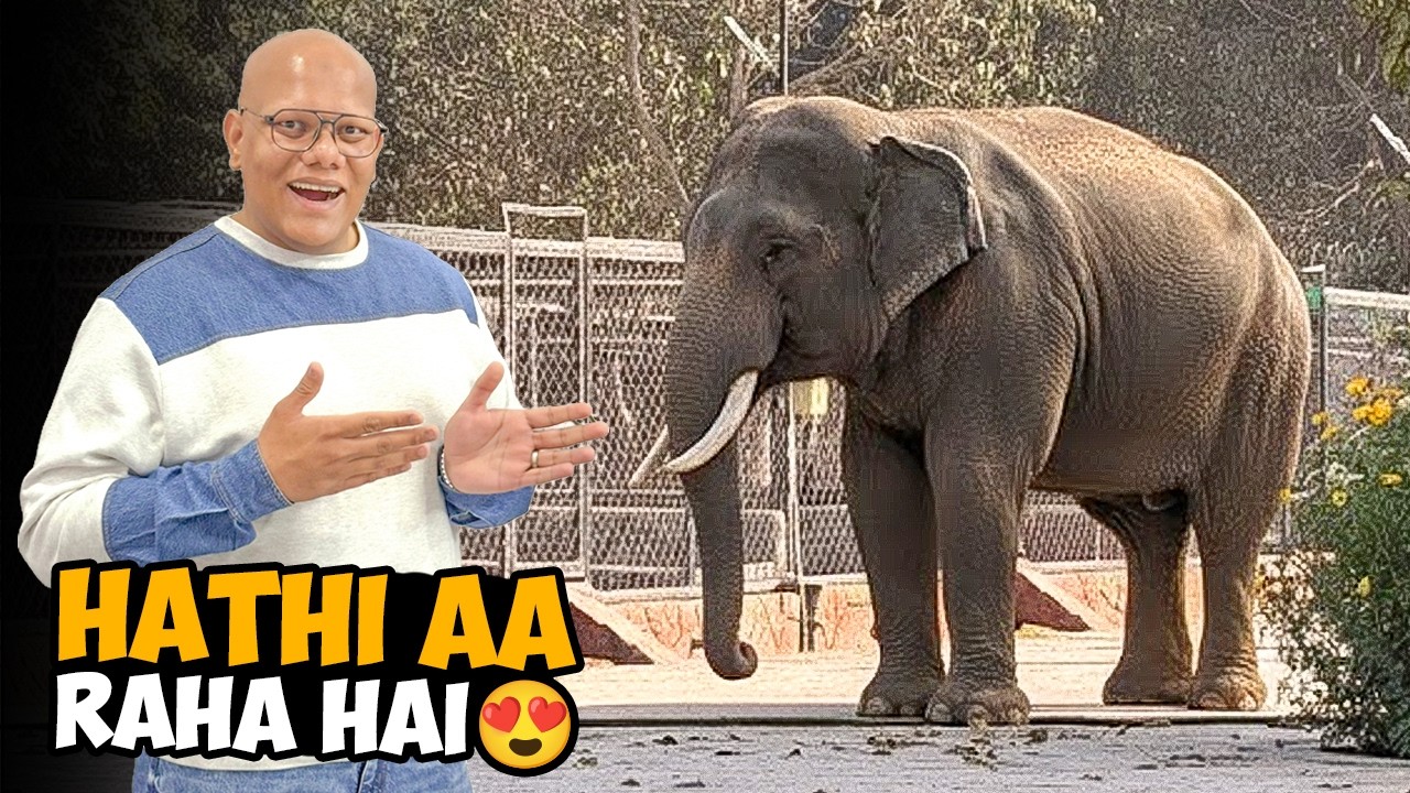 Hathi Lene Lahore Pohanch Gaye 🐘🔥 | BT Farm Stories