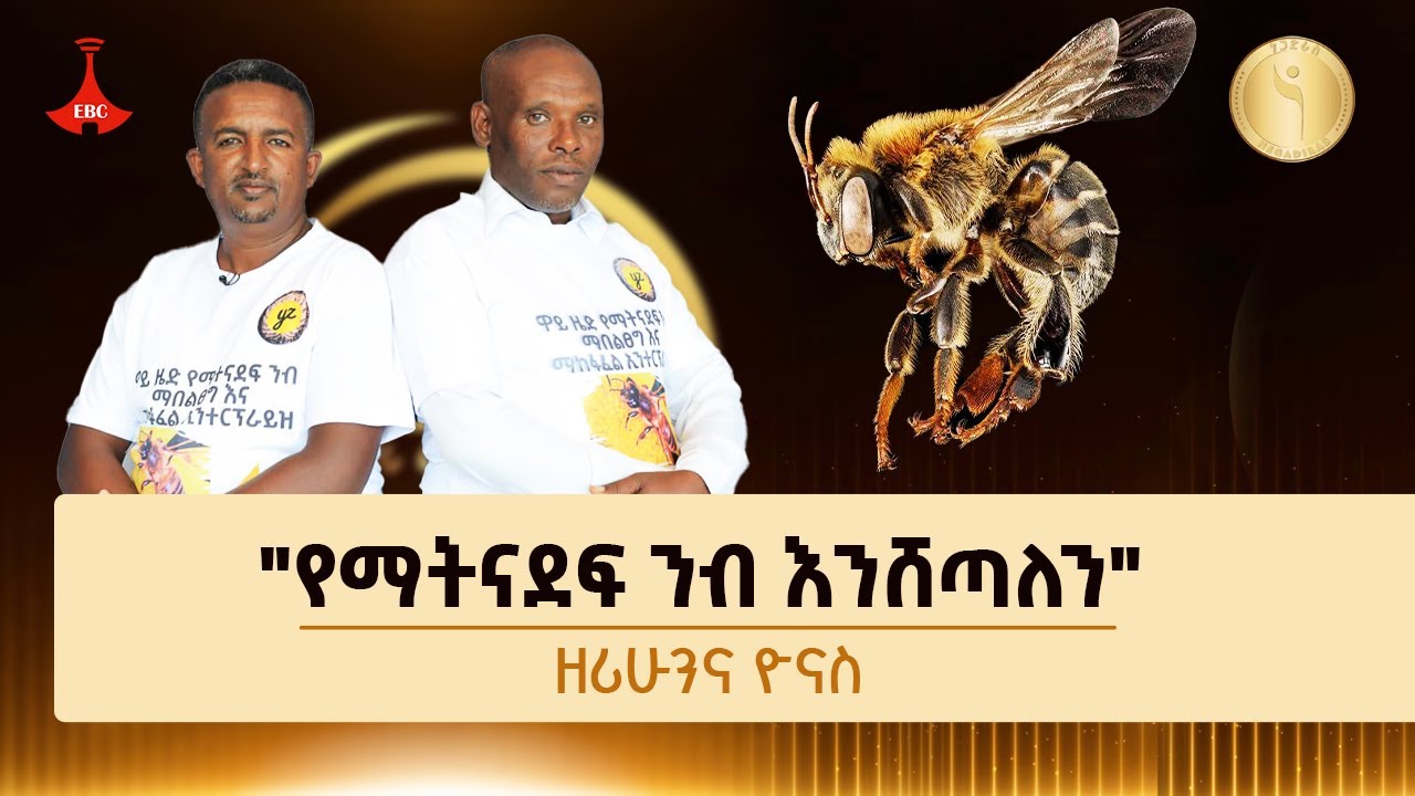 የማትናደፍ ንብ በከተሞች-ዘሪሁንና ዮናስ በነጋድራስ የሥራ ፈጠራ ውድድር - ክፍል 2