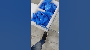 Nenu training chese company chudandi #ytshorts #shorts