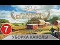 Farmer's Dynasty - Уборка канолы