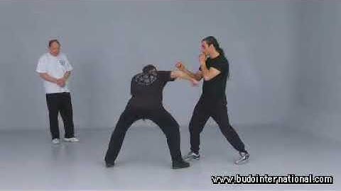 Jeet Kune Do - Eléments d