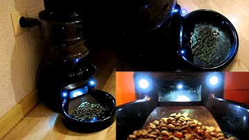 CatFeeder Raspberry Project