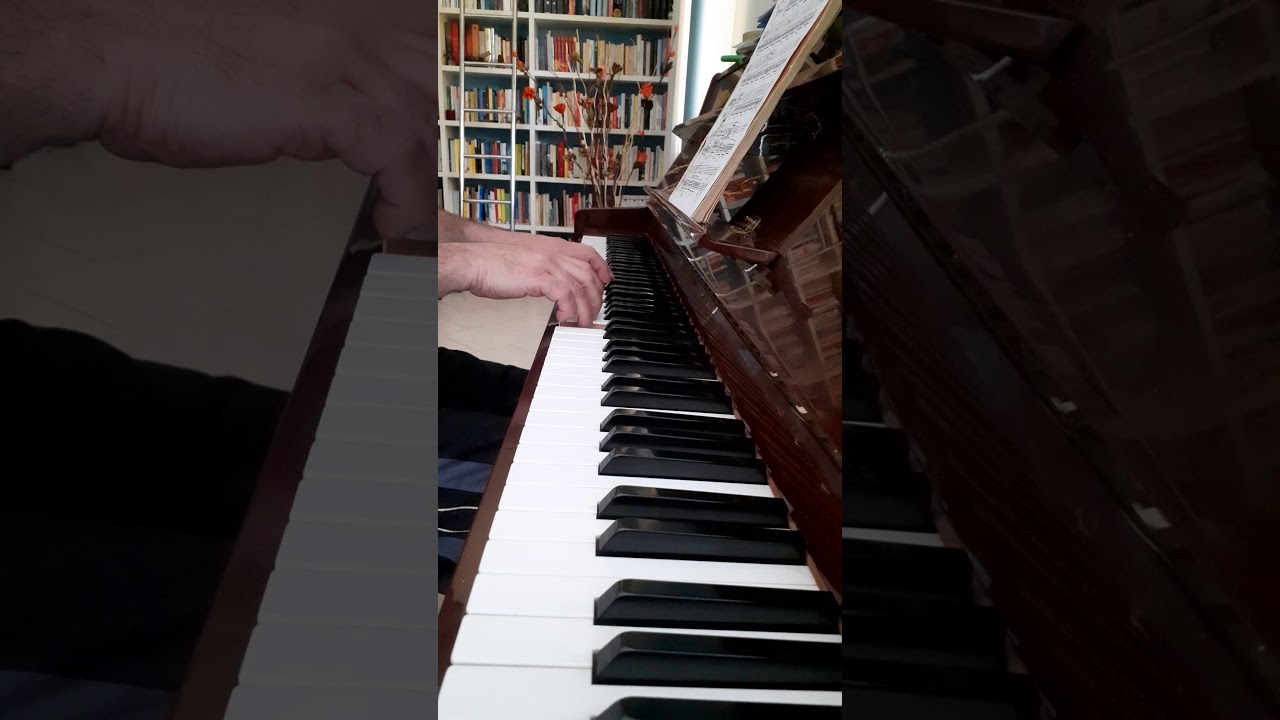 Chopin - Prelude in E Minor Op. 28 no. 4 (Massimo Pregnolato)