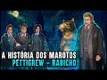 HOGWARTS: UMA HISTÓRIA - MAROTOS (RABICHO)