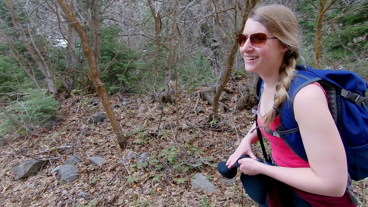 Holzer Adventure v30    --    Hidden Passage