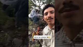 Castrando Una Colmena