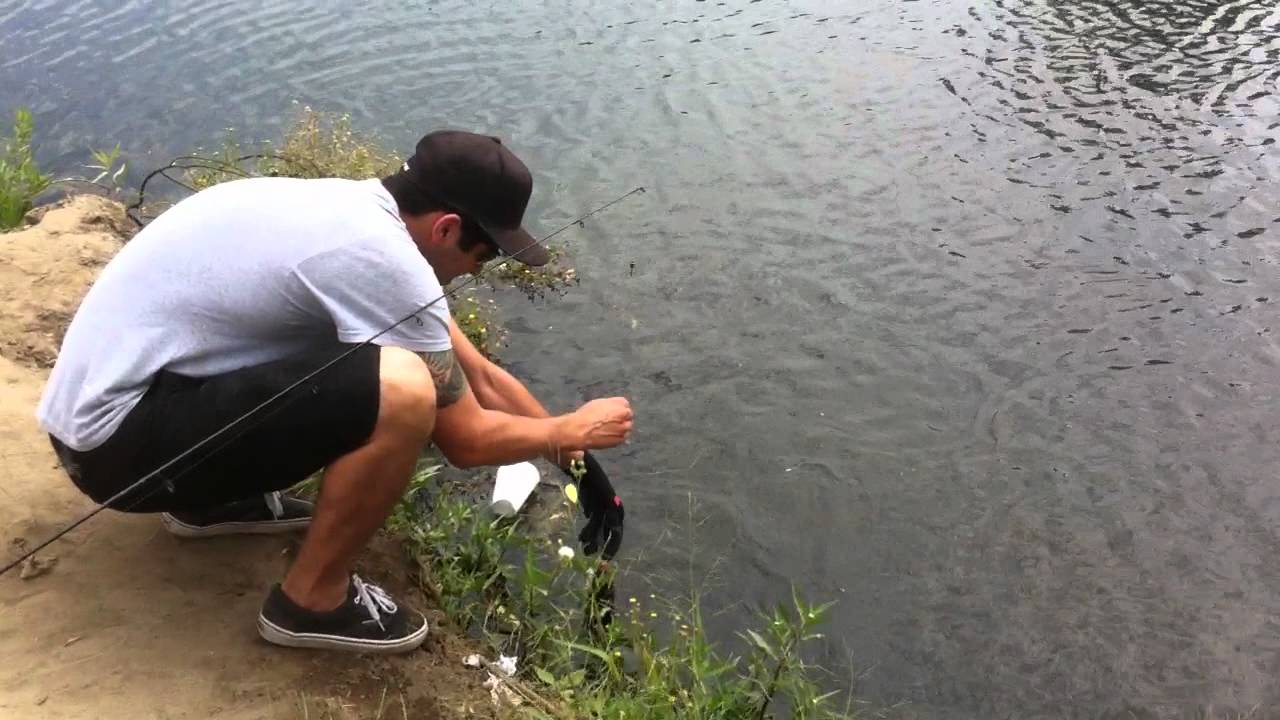 Fishing on the San Gabriel River YouTube