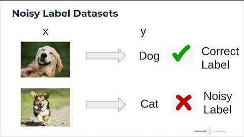 A framework using contrastive learning for classification with noisy labels