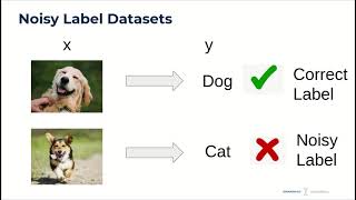 Celebrity A framework using contrastive learning for classification with noisy labels Wealth