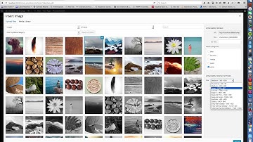 EDGE5—WordPress Media Library and Portfolio Items