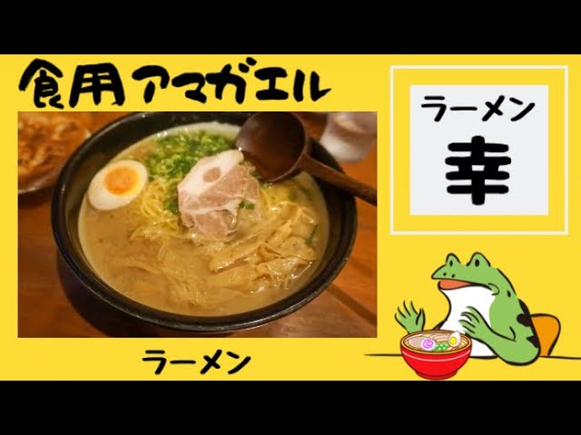 秋田県横手市 ラーメン幸 Kou 横手市民が愛する老舗の名店でラーメンと羽根つき餃子を食す Youtube