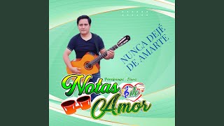 Nunca Dejé de Amarte