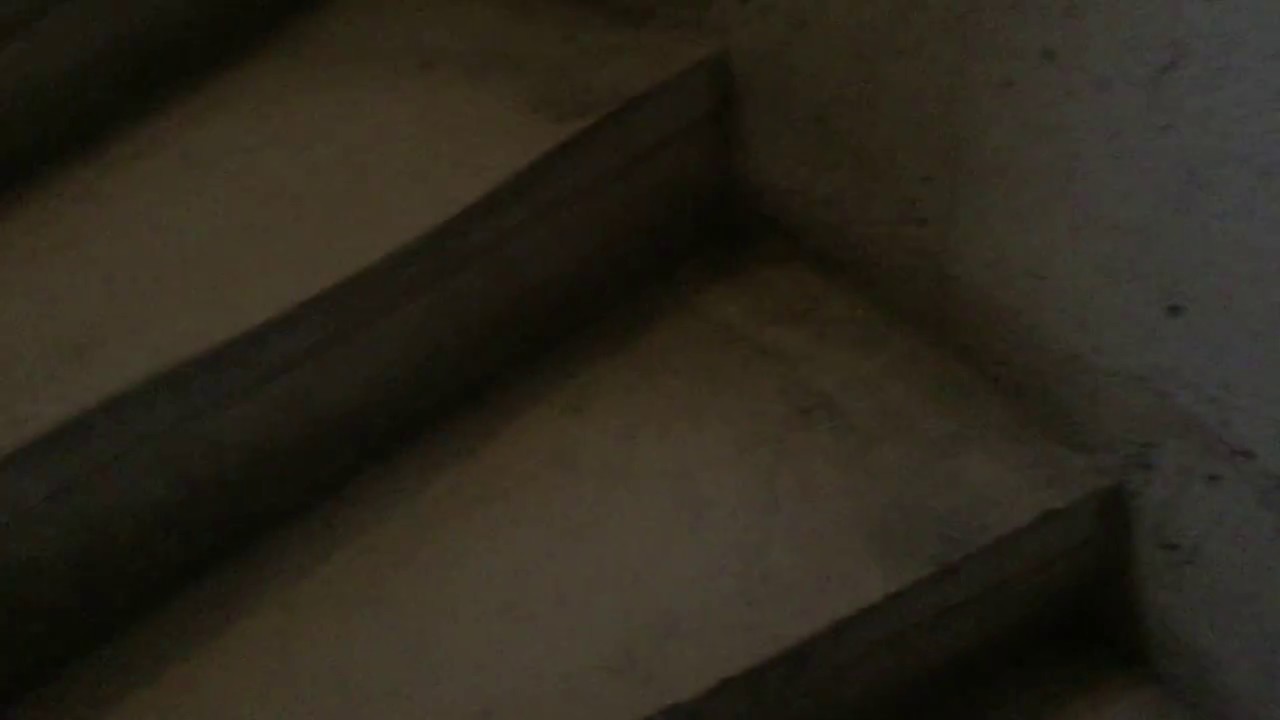 Climbing the stairs of NotreDame du Paris YouTube