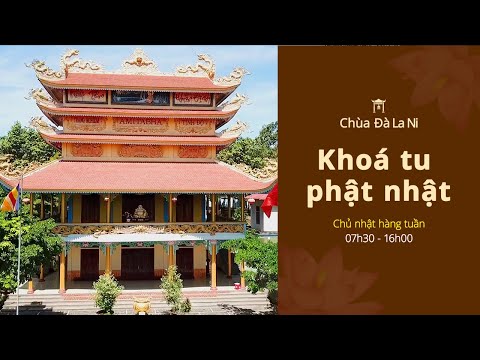 Video PHÁP KỆ 566 - LÝ THUYẾT THỰC NGHIỆM QUA PHÁP LÝ 5 CON... - youtube