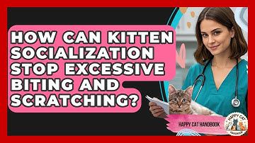 How Can Kitten Socialization Stop Excessive Biting And Scratching? - Happy Cat Handbook