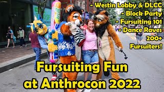 Anthrocon 2022 Fursuiting Fun Compilation