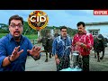 तबेले में Freddy और Pankaj के पीछे पड़ी भैंस , सारा दूध जमीन पर गिरा || CID | Latest Episode ||