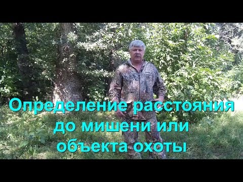 Видео: Как да определим цената на щетите