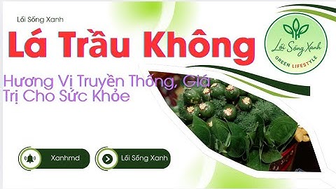 Lá Trầu Không: Hương Vị Truyền Thống, Giá Trị Cho Sức Khỏe