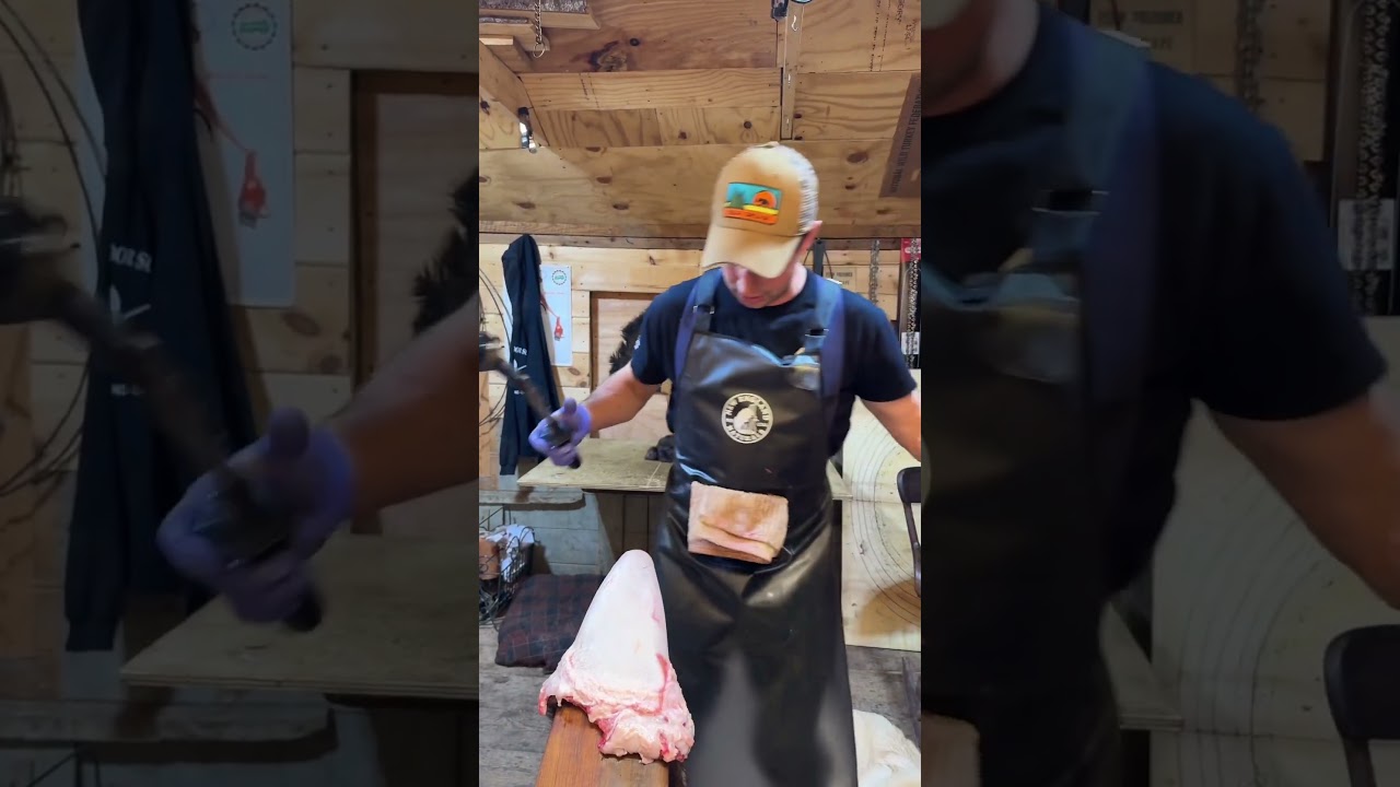 Find the proper fleshing apron