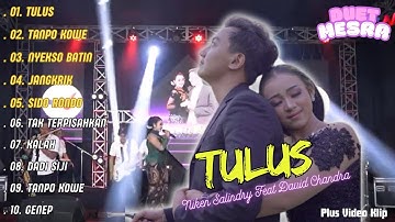 TULUS OPO ANANE TOMPONEN LUWEH KEKURANGANKU - Niken Salindry Ft David Chandra " ALBUM BAPER "
