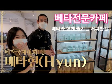 카페 베타