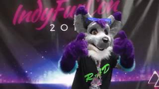 Indy Fur Con 2017
