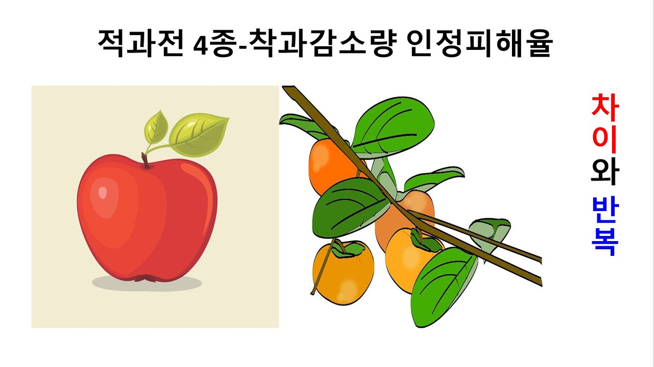 적과전 4종  착과감소량 인정피해율#손해평가사#