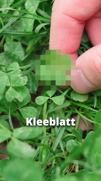 wieviel menschen haben arbeit in deutschland