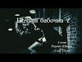 Ночная бабочка 
