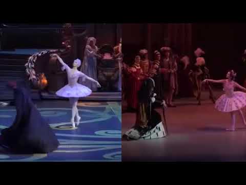 プロローグ終曲「眠れる森の美女」マリインスキー＆ボリショイ劇場  Prologue finale  "Sleeping Beauty" Mariinsky ＆Bolshoi Ballet