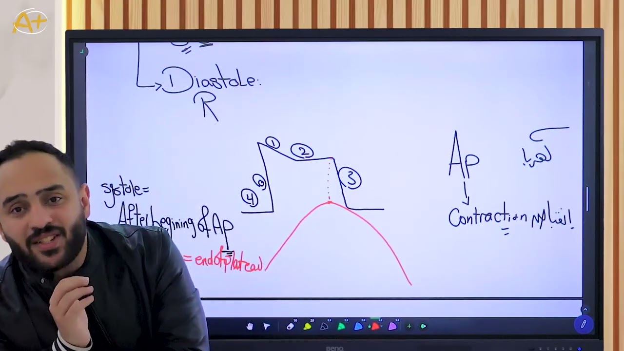 Physiology CVS module lecture 2  طب بشري جامعه اكتوبر 