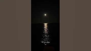 قلبي عاشق على بابك غنى 
