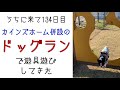 【カインズホーム併設ドッグラン】リベンジ！ホームセンター併設の無料ドッグランが穴場だった！ bostonterrier
