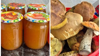 картинка: Дары природы!!!