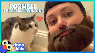 Her Cat Loves Her For Her Fake Beard | Dodo Kids | Animal Videos