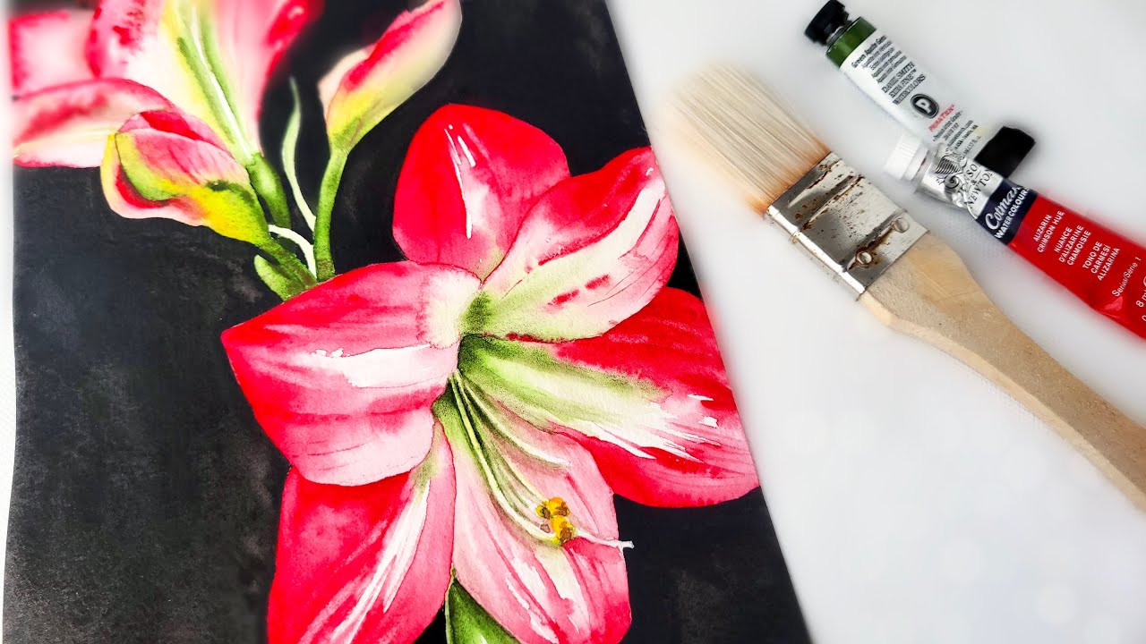 Learn How to Paint Red Lilies on a Dark Background | Watercolor Painting Process - YouTube