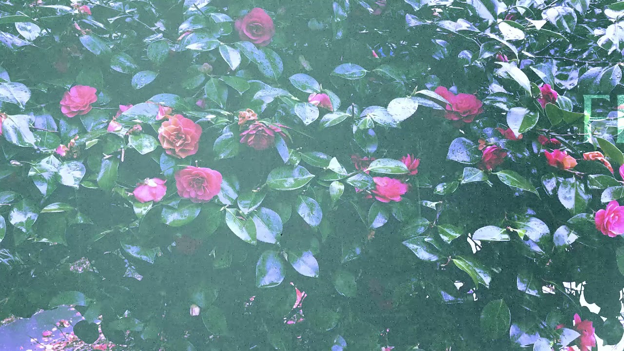 falling forever - thoughts (chill/lofi electronic instrumental)