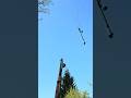 Medieval Power in Action: Trebuchet vs. Stick Vacuum