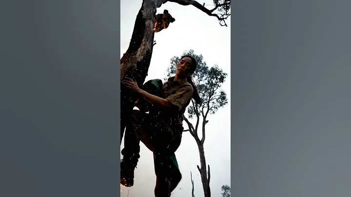 Koala Can't Escape Wildfire - Hero Risks Everything to Save It