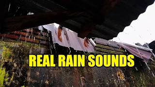 37 Minutes of Real Heavy Rain Sounds 🌧️ No Music | Sleep, Study, Relax & Focus