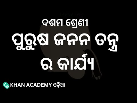 Functions of male reproductive system (humans) [ODIA] |Reproduction| Class-10 |Biology| Khan Academy