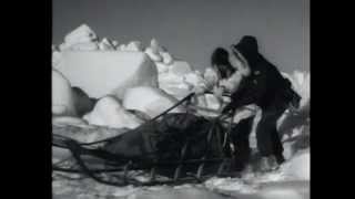 Alaskan Scout - The Big Picture