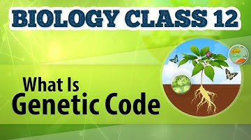 What Is Genetic Code - Molecular Basis of Inheritance - Biology Class 12