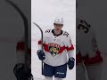 Tomas Nosek with a Goal vs. Toronto Maple Leafs
